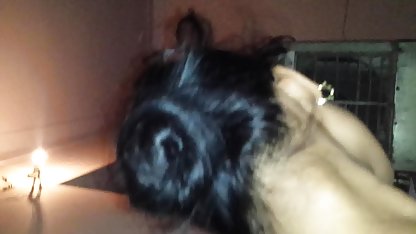 जापानी इंग्लिश मूवी सेक्सी वीडियो गैंगबैंग