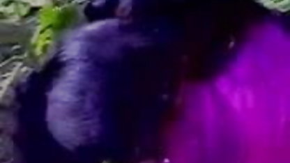 मैं घड़ी और हस्तमैथुन, जबकि वह हथौड़ों और मेरे सेक्सी मूवी इंग्लिश मूवी गधे