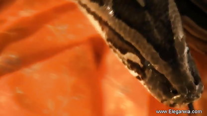 गर्म लाल बालों वाली उसे सूजन लाल भगशेफ बड़ा इंग्लिश सेक्सी मूवी वीडियो