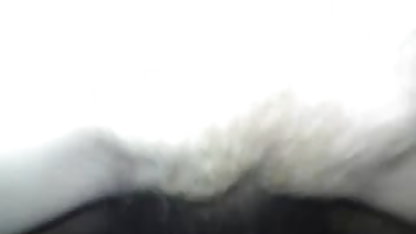 भिगोने गीला बिल्ली एक सेक्सी वीडियो इंग्लिश मूवी संभोग सुख है